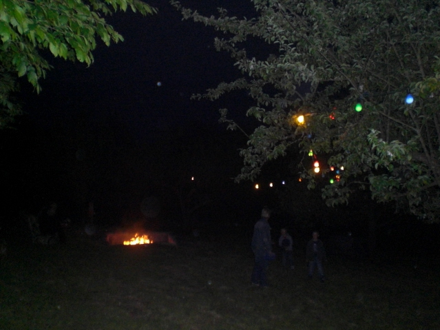 CIMG7282.JPG