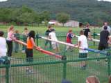 IMG_0604 * 2272 x 1704 * (1.2MB)